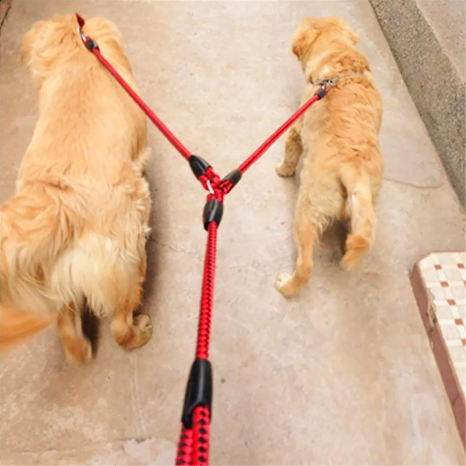 Adjustable 1.4m Double Dog Leash with Collar - Black and Blue Sturdy Pet Lead for Dogs