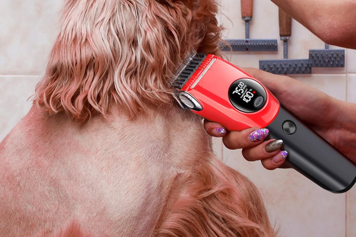 Dog Clipper Low Noise Dog Grooming Kit Rechargeable 3-Speed With LCD Display for Dogs Cats Pets